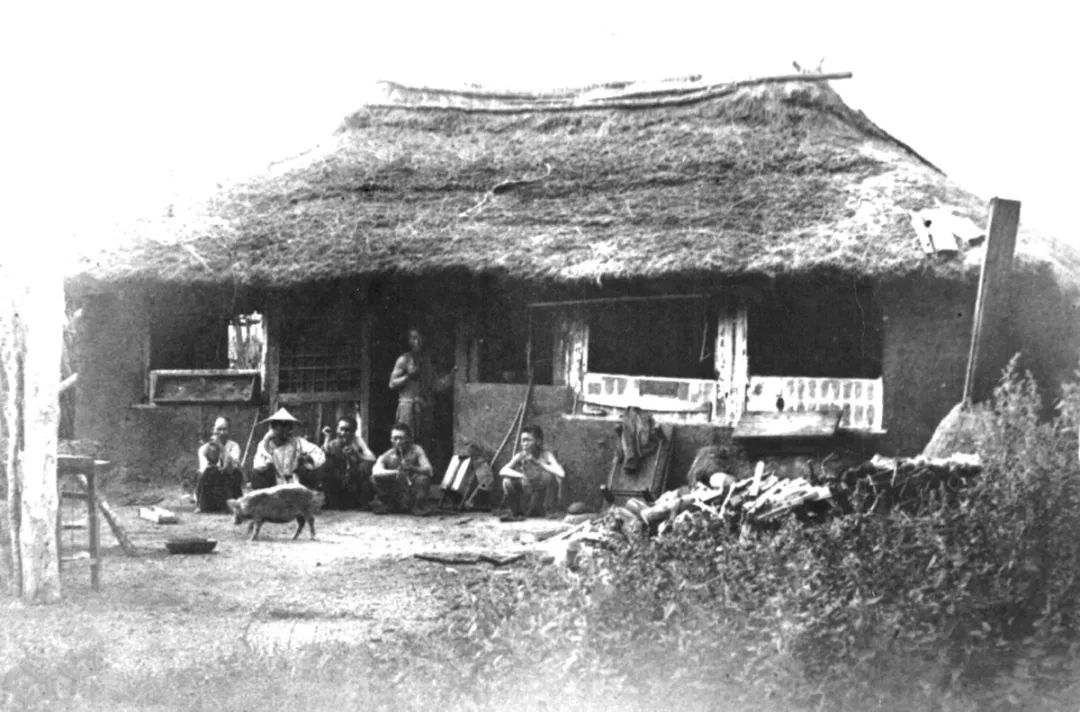 高丽人2-1893.jpg