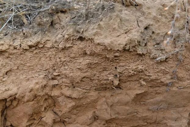 图二 踩踏路面.jpg 图二 踩踏路面.jpg