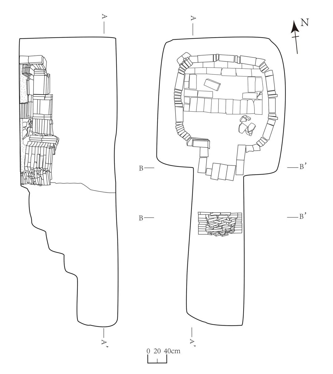 图三  大通关M15平剖图.jpg