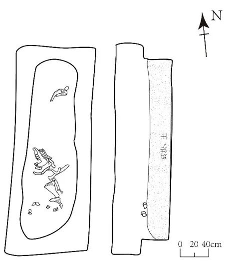 图四  大通关M15殉牛坑平剖图.jpg