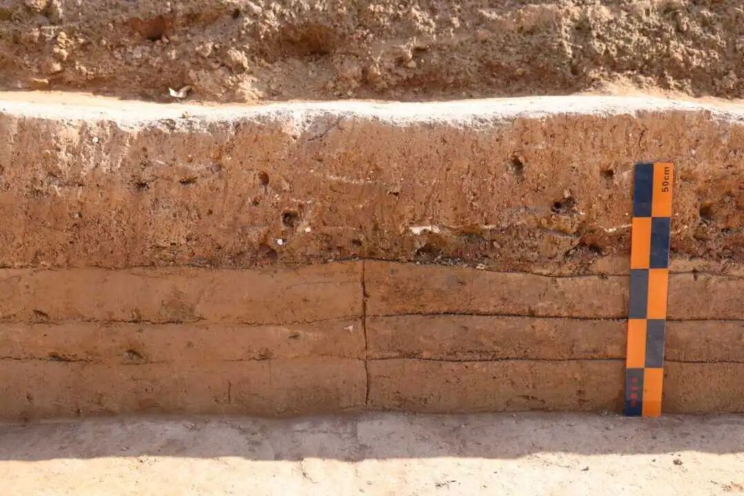 TG20中段夯土1、2分界线带标尺（东-西） (3).jpg