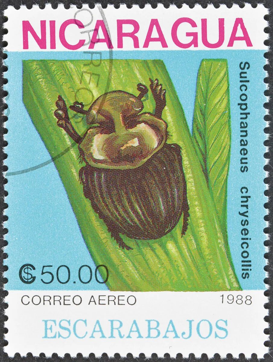 档案4 蜣螂形象邮票-294504608.jpg